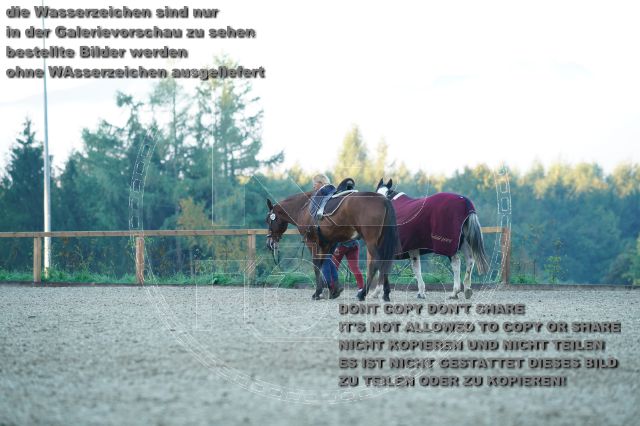 s_K3F09230.JPG